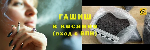 индика Верхний Тагил