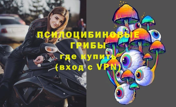 мдпв Беломорск