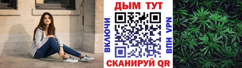 Бошки марихуана семена  OMG как зайти  Бокситогорск 